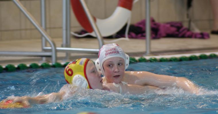 Click on the photo for the original