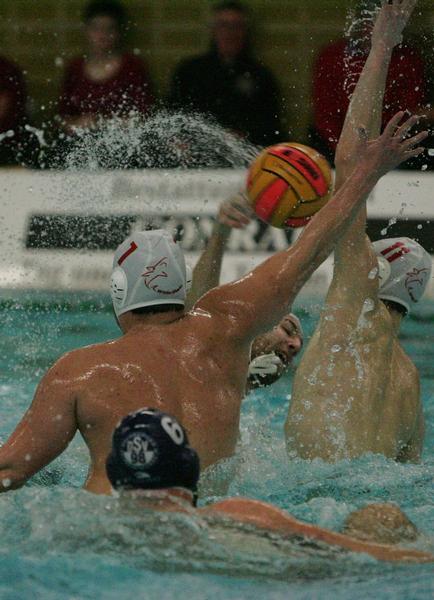 Click on the photo for the original