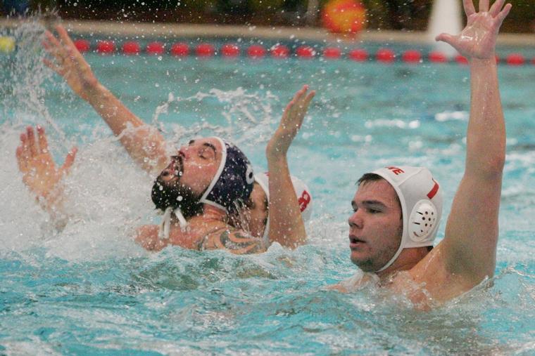 Click on the photo for the original