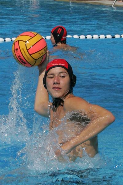 Click on the photo for the original