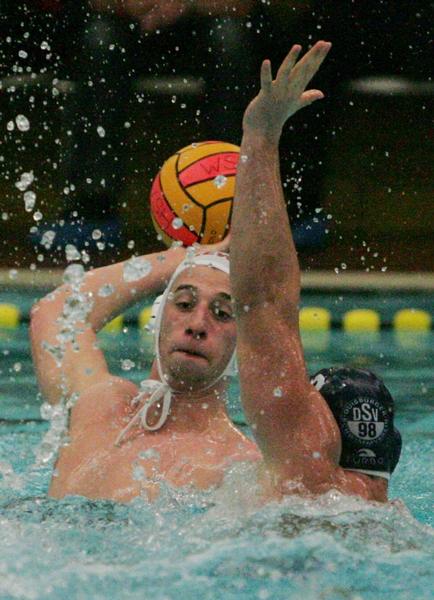 Click on the photo for the original